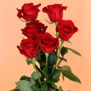 bouquet de roses rouges