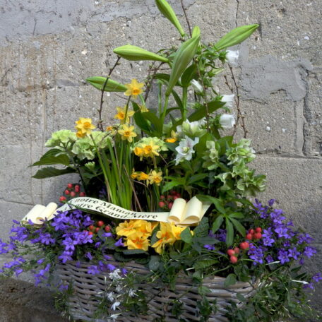 Jardin-de-plantes-de-saison