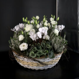 Coupe plantes blanches et fleuries